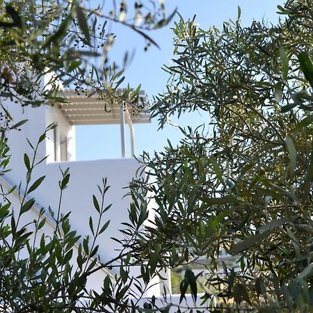 Ramnos House Βίλα Παράσπορος Εξωτερικό φωτογραφία
