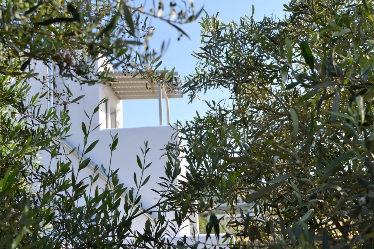 Ramnos House Βίλα Παράσπορος Εξωτερικό φωτογραφία